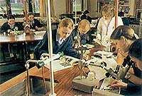 science and computing labs are modern and well-equipped