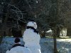 Snow-Nov-08