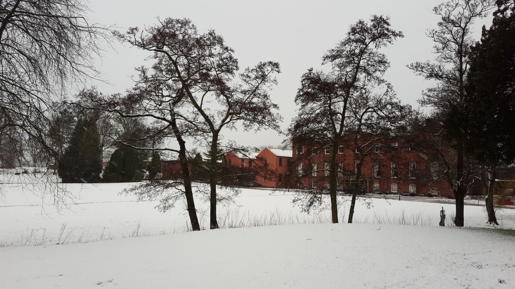 12657969_867934839990630_5974741708883057881_o