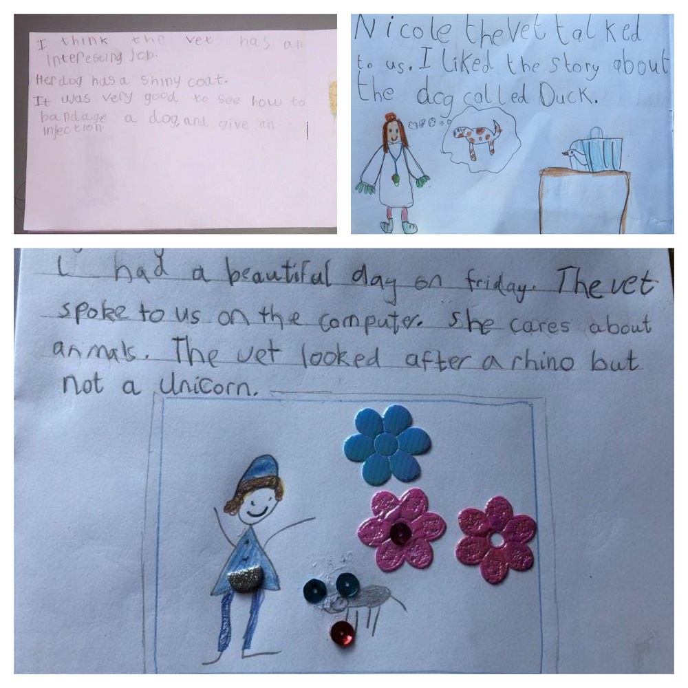 Kilgraston's Junior School - virtual vet visit