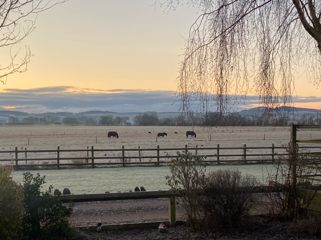 Kilgraston in lockdown