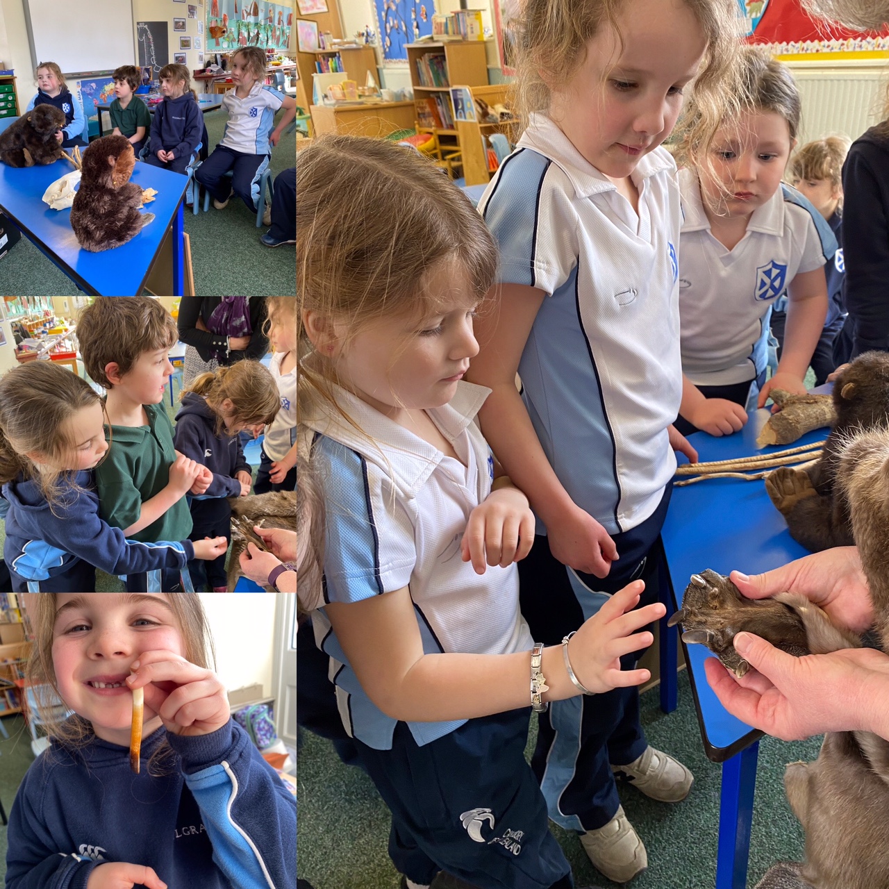 Kilgraston Junior School wildlife visit